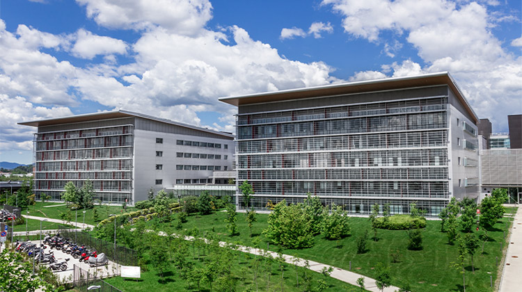 Immagine Approfondimento 3